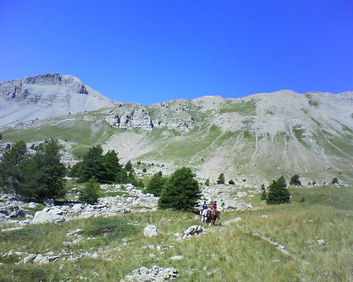 poulain pouliche paint horse pp américain vars elevage centre équestre hautes alpes
