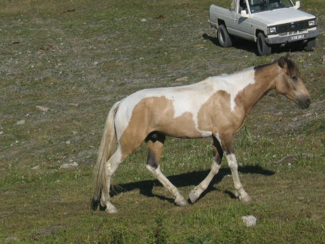 QUADJAR